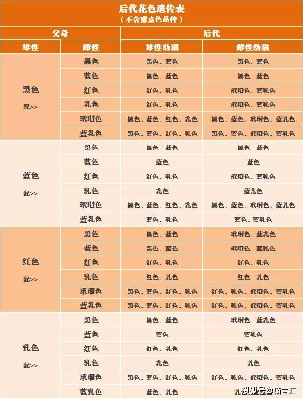 猫怎么繁育有稳定毛色（猫繁育指导手册）(1)