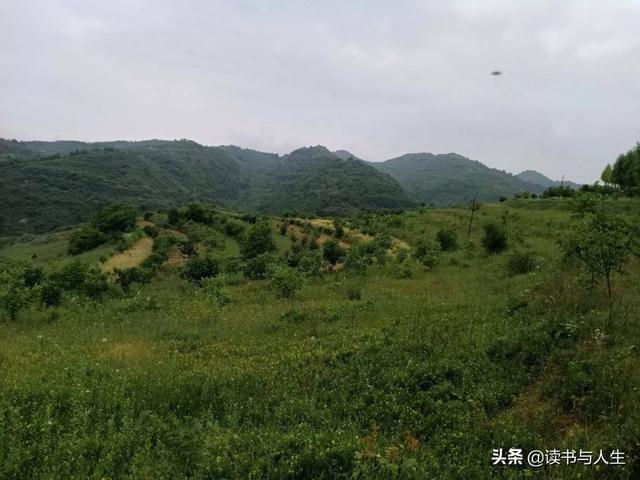 广州大型ufo不明飞行物（甘肃天水齐寿山附近上空出现不明飞行物）(4)