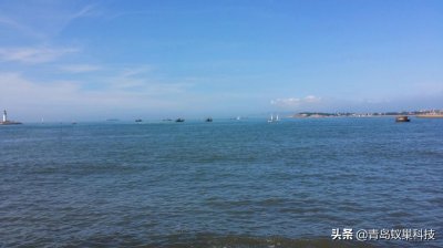 ​青岛有海吗(青岛的海是什么海)