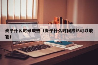 ​麦子什么时候成熟（麦子什么时候成熟可以收割）