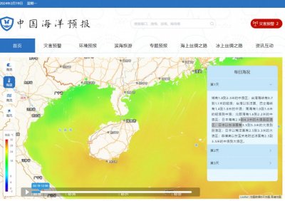 ​海南离岛轮渡上男子突然跳海！湛江海事局：还没家属报失踪信息，身份仍未查明