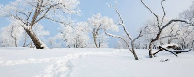 ​寒潮主要发生在什么季节 寒潮主要发生在什么季节地区