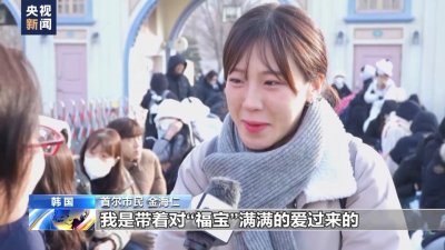 ​大熊猫“福宝”在韩最后一日公开亮相，回国后将入住神树坪