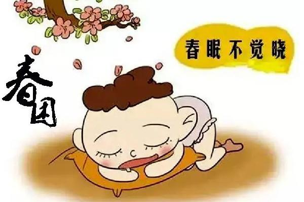 春困可以去刮痧吗 春困喝什么茶最好