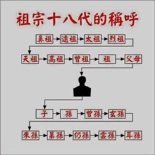 影视芈月嬴政关系图  3