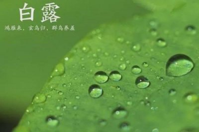 ​白露节气哪些农作物成熟