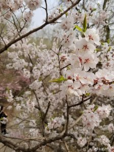 ​吉林北山，是一座久负盛名的寺庙、风景城市园林，园内峰峦叠翠