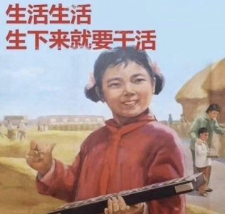 ​囧哥:无法掩饰的除了咳嗽贫穷和爱情，还有数学成绩