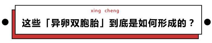 9102年，「太酸了」和「太甜了」居然是一个意思！