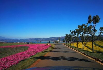 ​弥勒太平湖森林公园、红河水乡，是放松心情，休闲度假的好地方