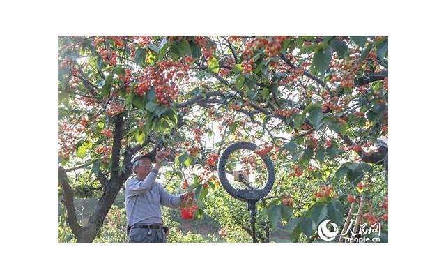 频繁做这些事的男人，十有八九是暗恋你