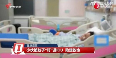 ​广东20岁小伙被蚊子“叮”进ICU，医生：经常熬夜玩手机所致