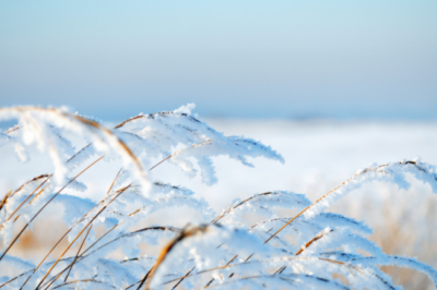 ​经典暖心短句冬日丨驭风砺雪，路向梦想