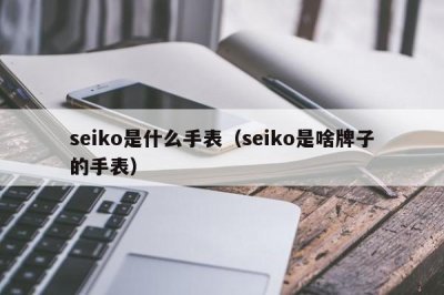 seiko是什么手表（seiko是啥牌子的手表）