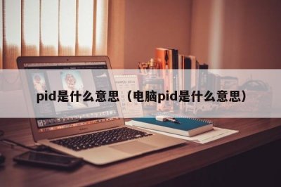 ​pid是什么意思（电脑pid是什么意思）