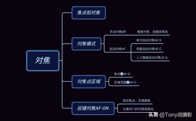 ​摄影揭秘：一文搞懂对焦！