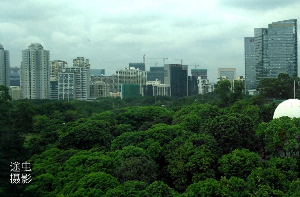 在深圳大学俯瞰深圳最强区南山区，天际线壮观，绿化更值得点赞！