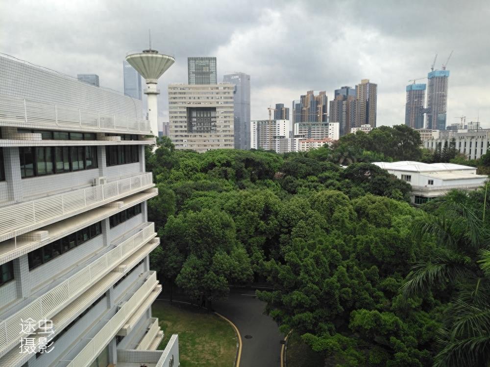 在深圳大学俯瞰深圳最强区南山区，天际线壮观，绿化更值得点赞！