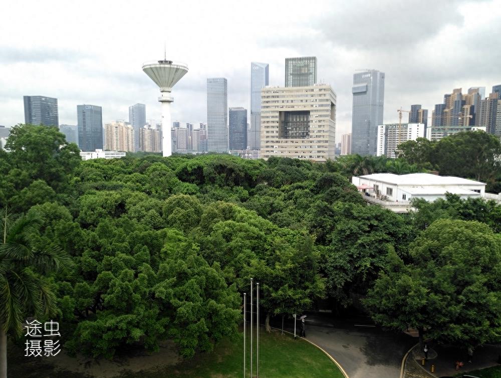 在深圳大学俯瞰深圳最强区南山区，天际线壮观，绿化更值得点赞！