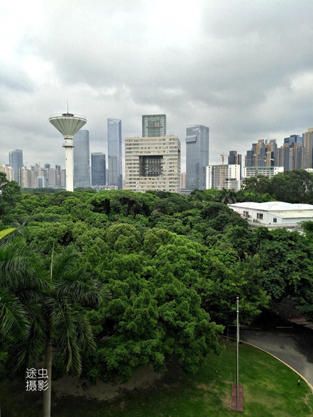 在深圳大学俯瞰深圳最强区南山区，天际线壮观，绿化更值得点赞！