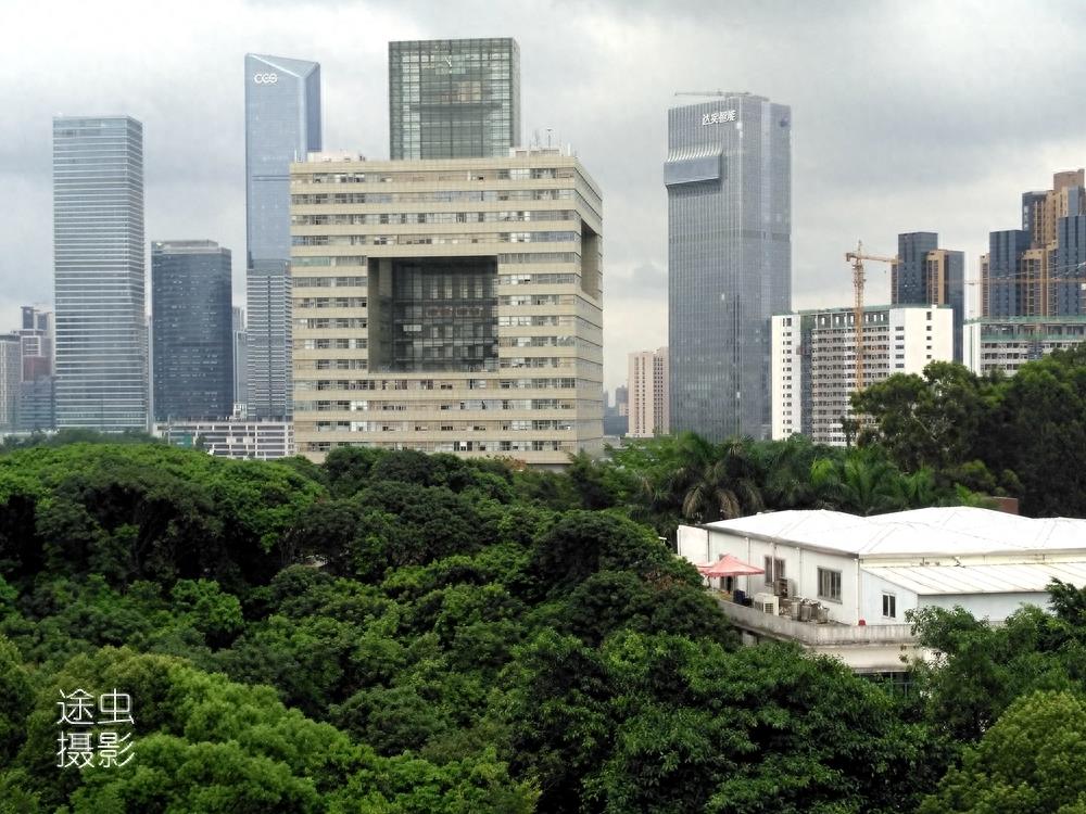 在深圳大学俯瞰深圳最强区南山区，天际线壮观，绿化更值得点赞！