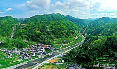 ​绿水青山茶园飘香-丰顺八乡山龙岭村