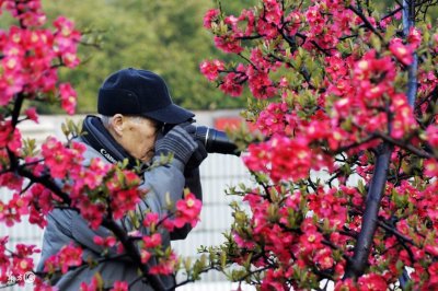 ​70岁以上的老人适合去哪里旅游 我推荐这两个地方