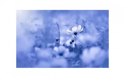 ​送女朋友花写什么内容比较好 送花给女朋友写点什么好呢