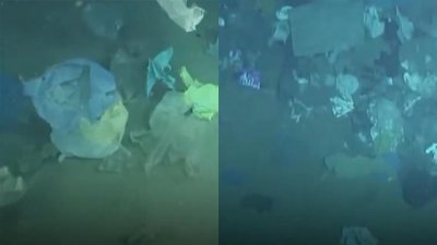 ​2000米深海底惊现巨型垃圾场！“深海勇士号”拍摄画面首度曝光