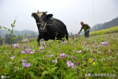 ​铁犁牛耕，新的耕作方式所引发的变革