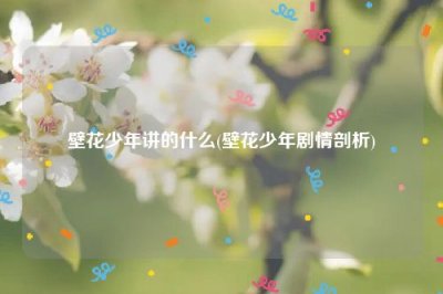 ​壁花少年讲的什么(壁花少年剧情剖析)
