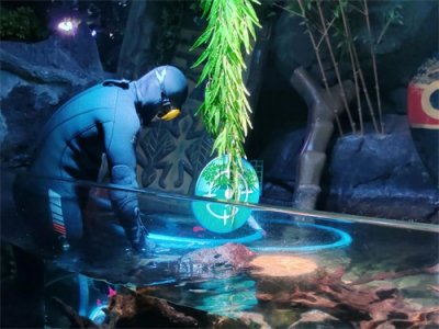 ​上海长风公园和上海长风海洋世界