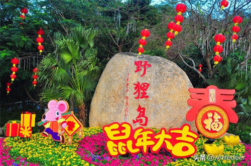 珠海的城市山海公园 - 野狸岛