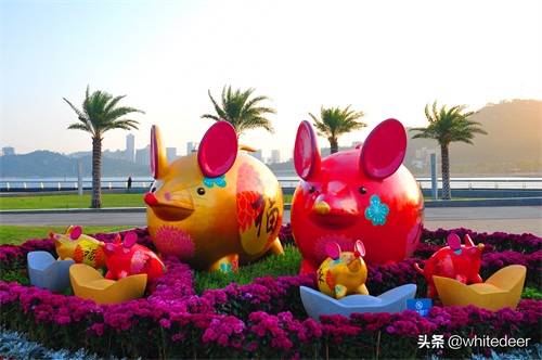 珠海的城市山海公园 - 野狸岛