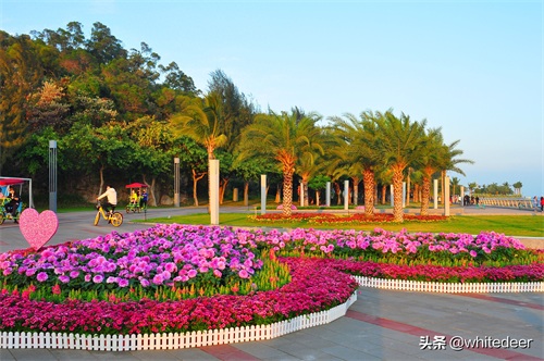 珠海的城市山海公园 - 野狸岛