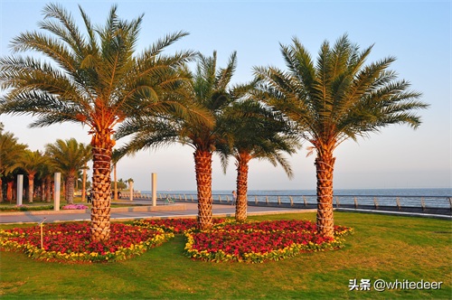 珠海的城市山海公园 - 野狸岛