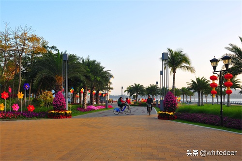 珠海的城市山海公园 - 野狸岛