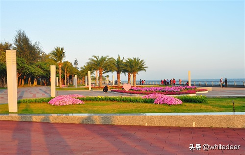 珠海的城市山海公园 - 野狸岛