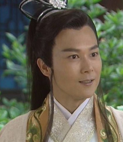 王灿主演的电视剧