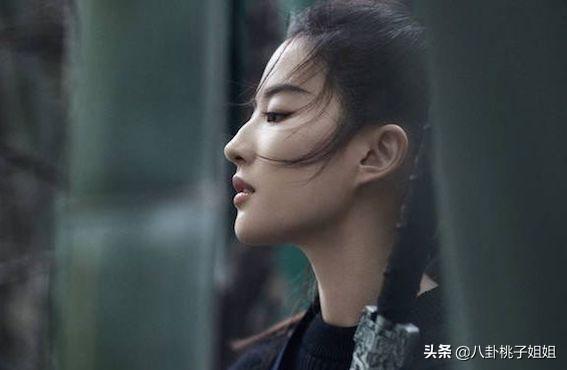 严禁外籍明星回国捞金人员名单（11名当红艺人持有外国护照）(9)