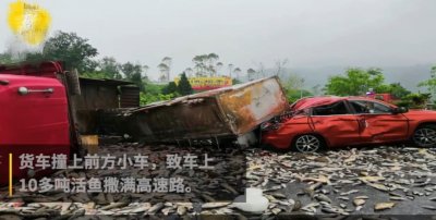 ​司机疲劳驾驶路上翻车，10多吨活鱼高速上蹦跶，路都堵了