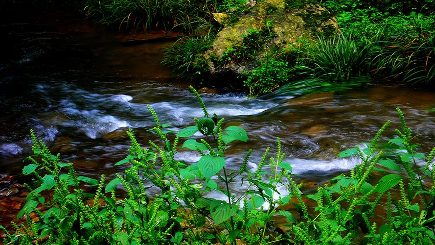 二、利川金丝峡