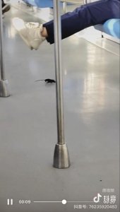 ​南京地铁 1 号线车厢内出现老鼠，系偶发事件