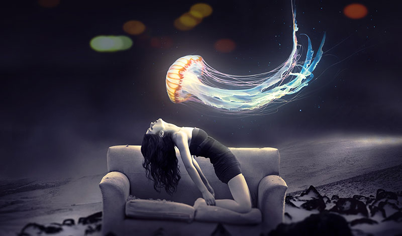 世界上永生不死的动物（什么动物死不了）(图8)