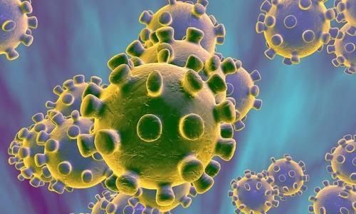 春节开业通知朋友圈怎么写，暂停营业通知怎么写？图5