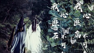 ​我心匪石不可转我心匪席不可卷什么意思，我心匪石，不可转也,我心匪席不可卷也