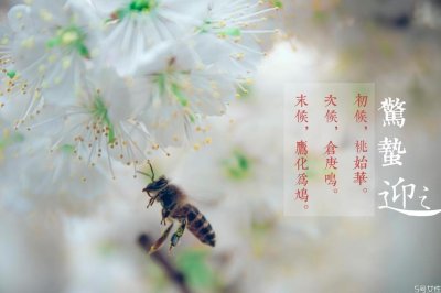 ​惊蛰适合吃什么菜 惊蛰吃什么食物养生