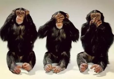 ​今年特别火的“三不猴”，背后是这么有趣的故事你造吗？