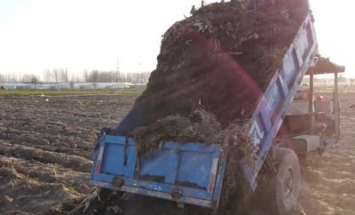 ​猪粪如何处理？农户自制有机肥，方法很简单，省钱效果好