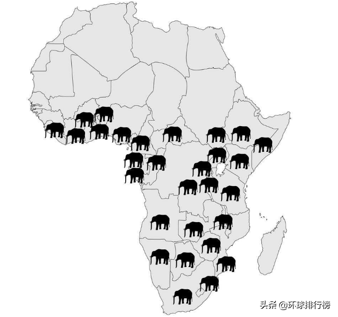 陆地上最大的动物是什么（陆地最大的动物排名前10）